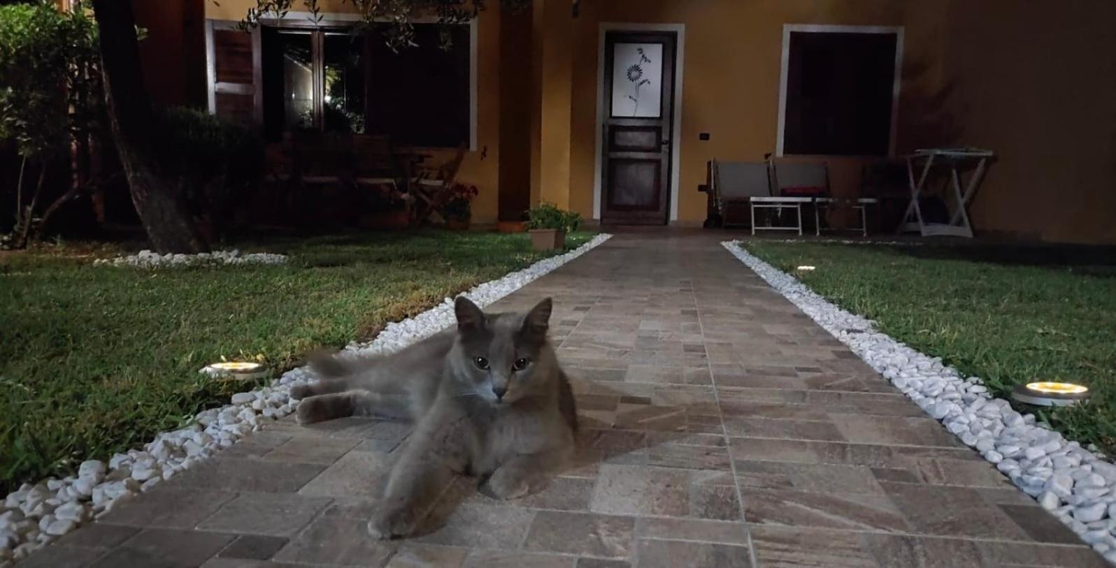 Casa Vacanze Shardana Iglesias Exterior foto